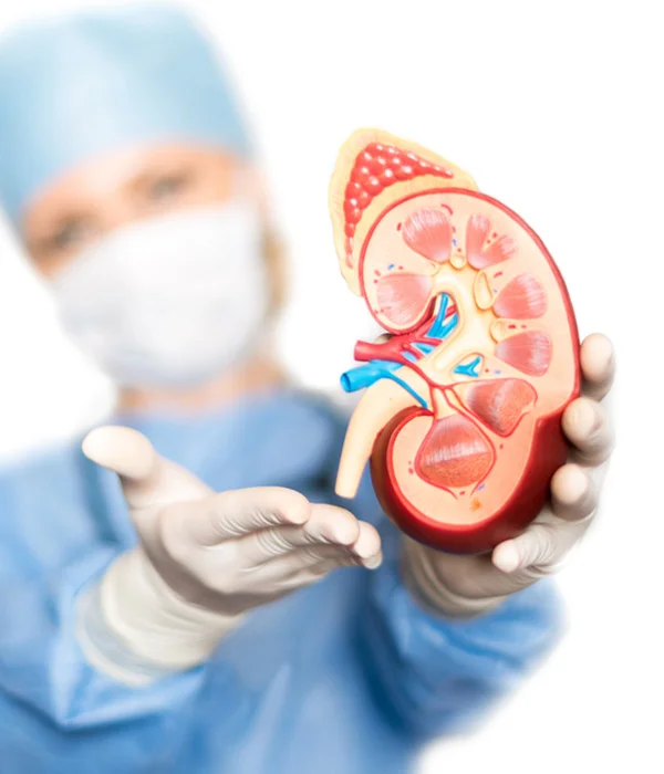 Pediatric Nephrologist Email List
