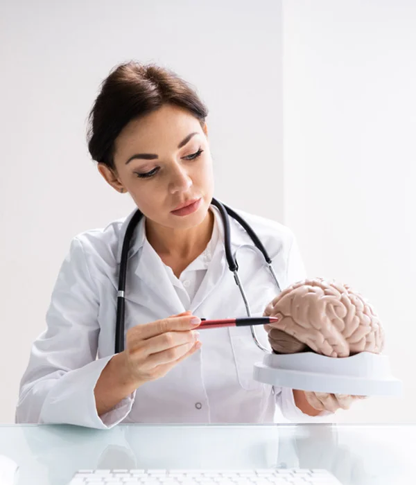 Pediatric Neurologist Email List
