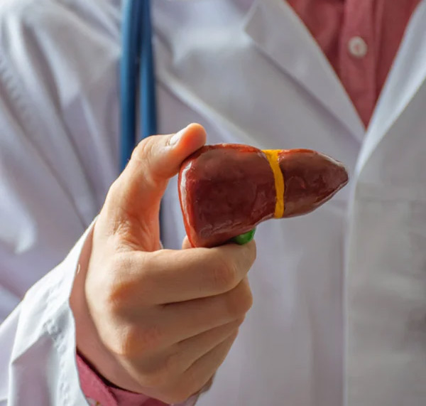 Hepatologists Email Addresses
