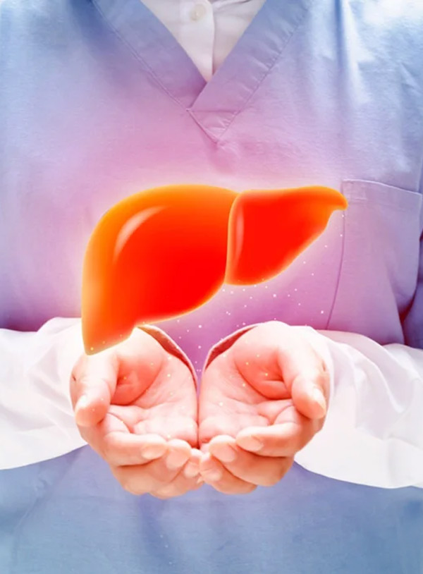 Hepatologist Email List
