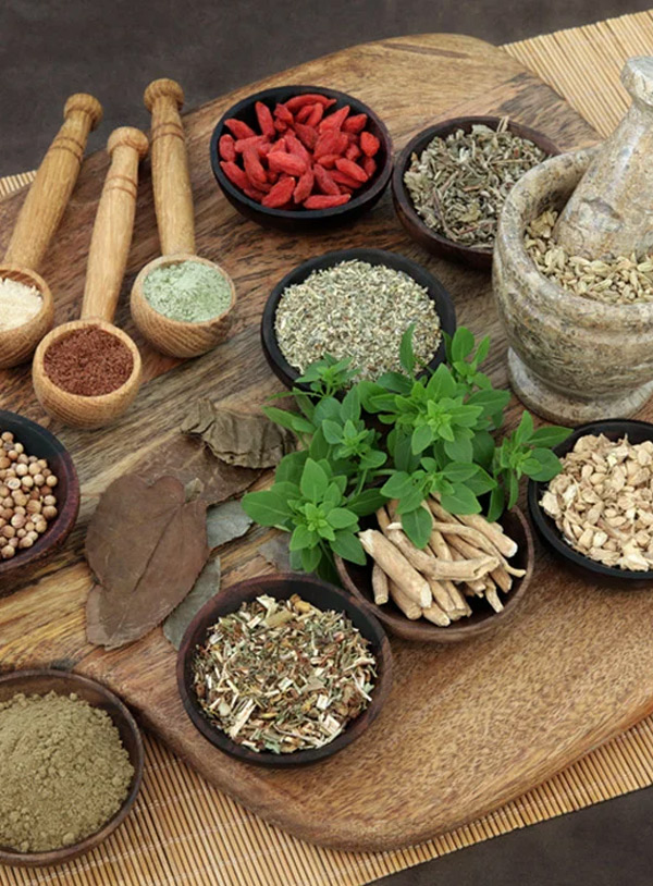 Holistic Medicine Specialist Email List
