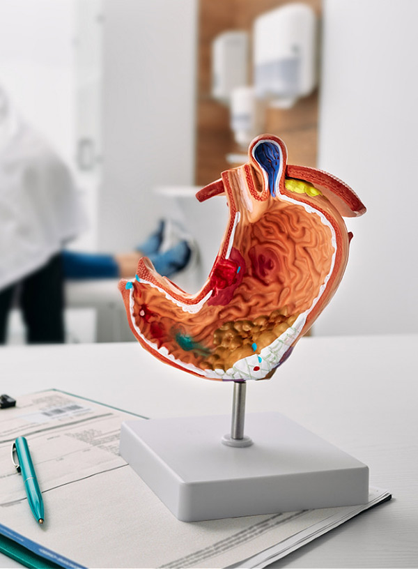Gastroenterologist Mailing List
