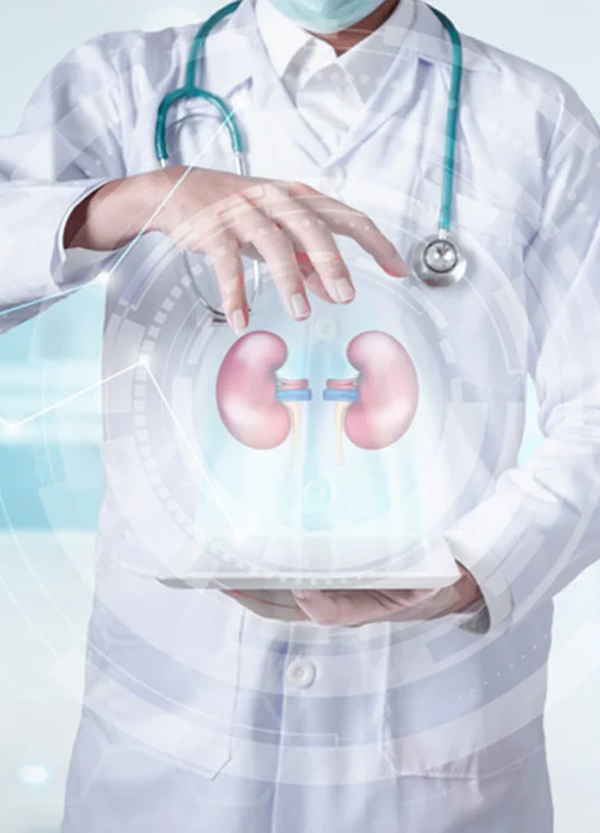 Nephrologist Email Address List

