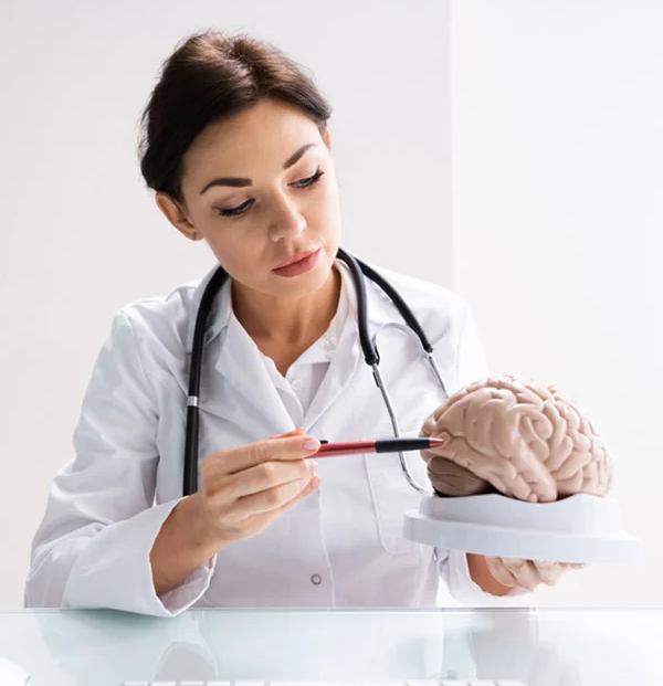 Neurologists Email Contacts
