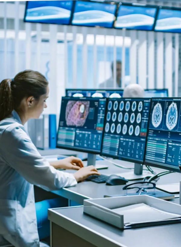 Neuropathologist Email Address List
