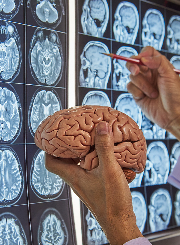 Pediatric Neurologist Email Address
