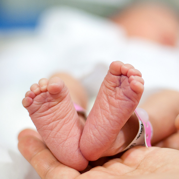Obstetrician and Gynecologist Leads List
